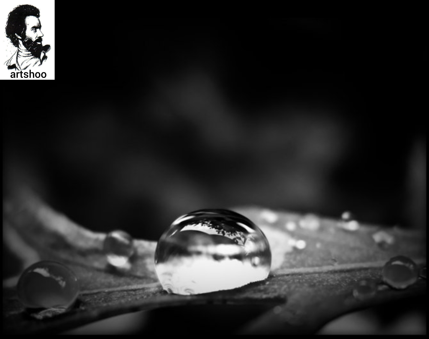 مدل سیاه قلم آب اورژینال